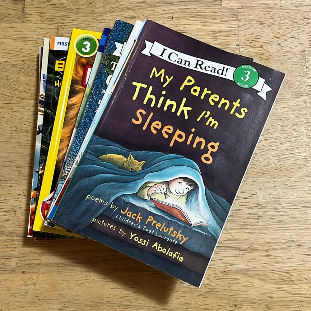 Beginner Readers Levels 3, 4, and 5 Bundle of Twenty Booklets